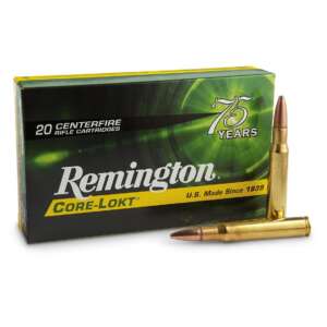 Remington CORE-LOKT, .30-06 Springfield, PSP, 180 Grain