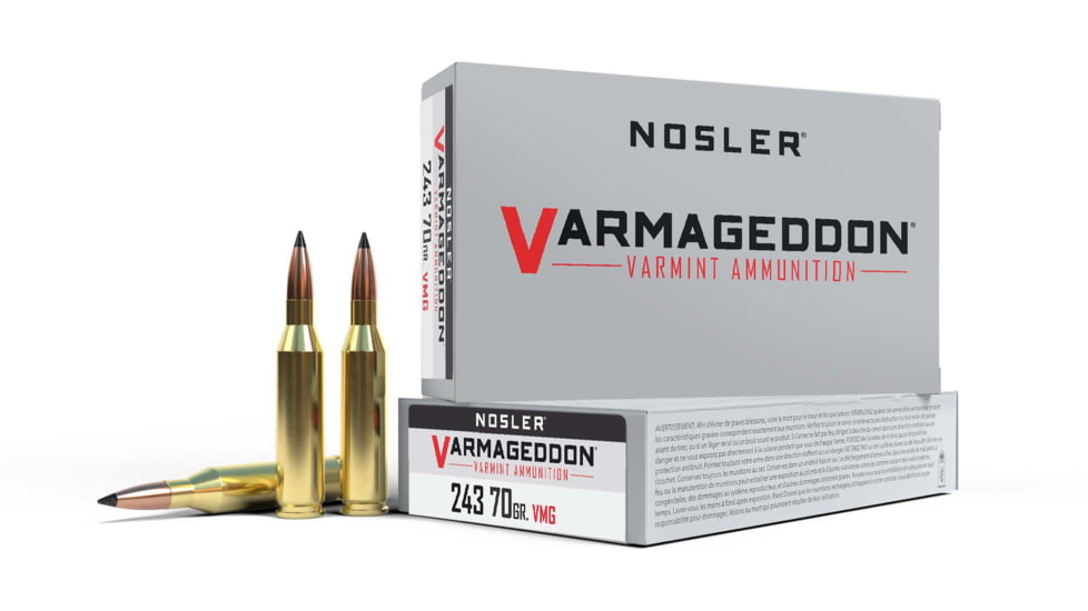 Nosler .243 Winchester Flat Base Tipped 70 grain Brass Cased Rifle Ammunition 120rnd