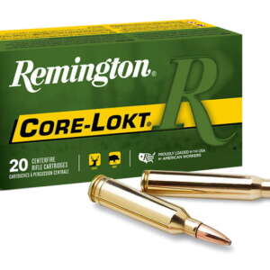 Remington Core-Lokt 6mm Creedmoor 100 Grain Core-Lokt Pointed Soft Point 500 rounds