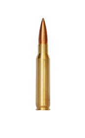 Rifle Ammo For Sale | Bulk, Hunting & Match Loads