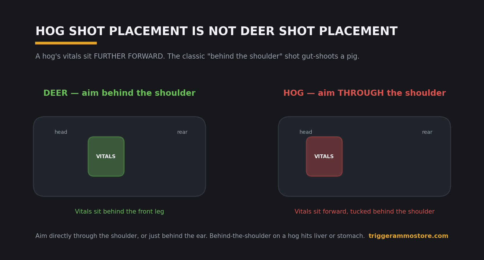 Hog shot placement compared to deer shot placement diagram