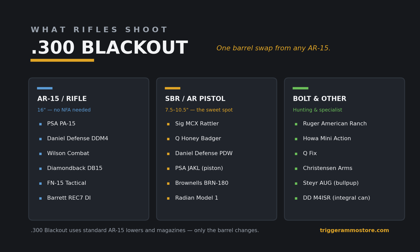 .300 Blackout rifles by platform: AR-15, SBR, pistol and bolt action